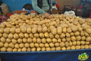العوامل المؤثرة على سعر البطاطس